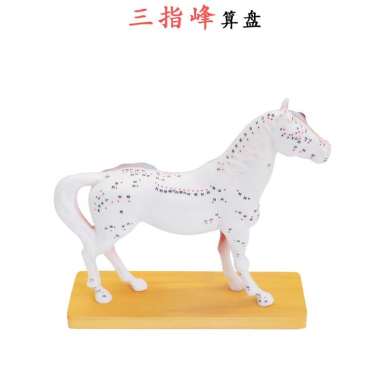 马体针灸马体解剖模型动物解剖模型马身体构造模型演示马产品图