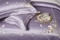 慕拉菲100支绣花长绒棉～～2020年春夏新款
高‌端居‌家轻​奢‌系列（随机发）床上用品床单被套四件细节图
