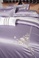 慕拉菲100支绣花长绒棉～～2020年春夏新款
高‌端居‌家轻​奢‌系列（随机发）床上用品床单被套四件产品图