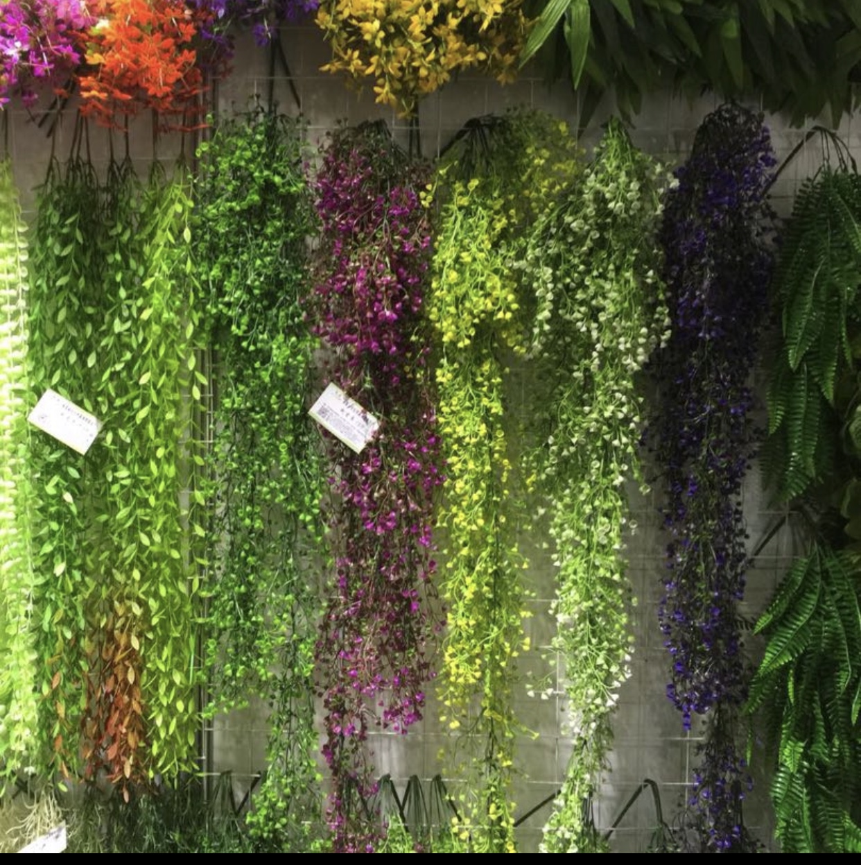 仿真壁挂花金钟柳藤条藤蔓植物客厅室内墙面装饰绿植垂吊假花摆设