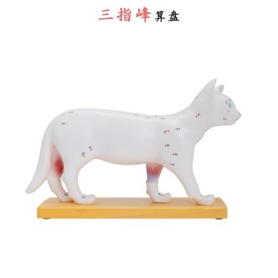 猫猫医疗药用实物图