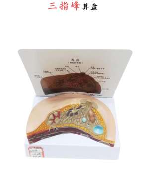 吸奶器/取奶器/飞利浦奶细节图