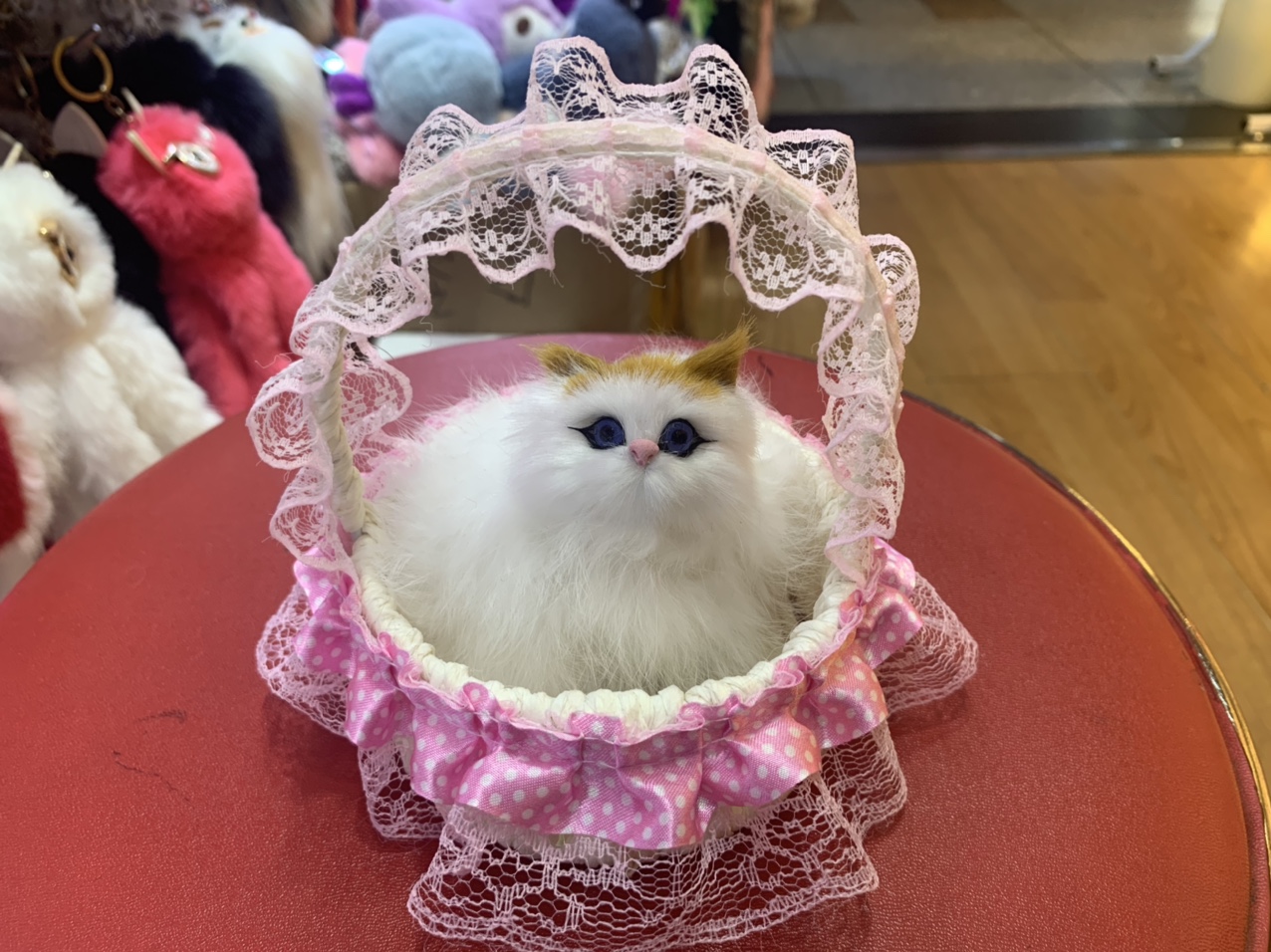 花边吊篮猫篮子猫旅游产品礼品礼品礼品礼品