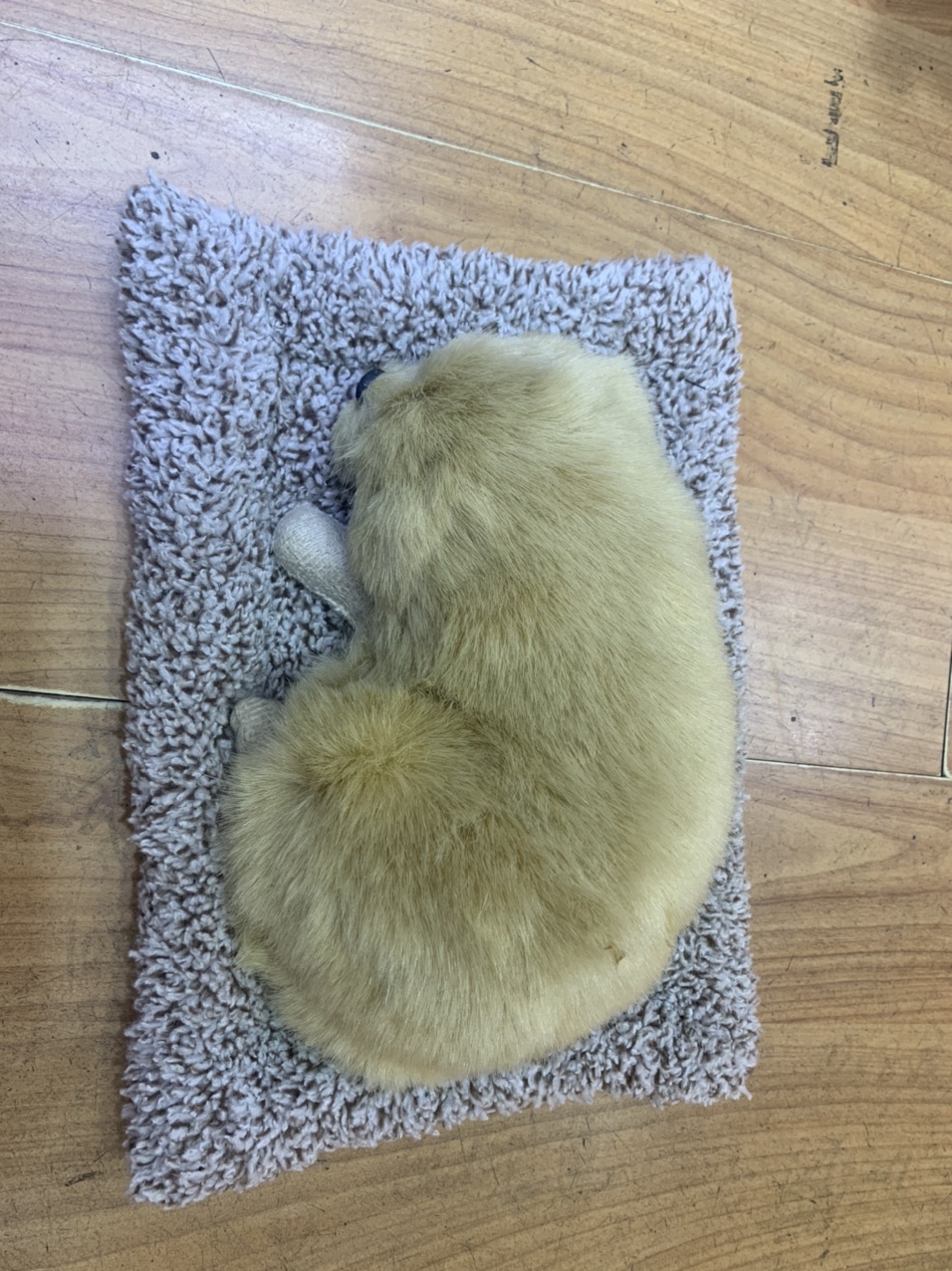 大号竹炭狗 除甲醛活性炭包外贸来样定做 生日礼物旅游产品送朋友送老师送女朋友