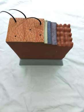 生物教学器材实物图