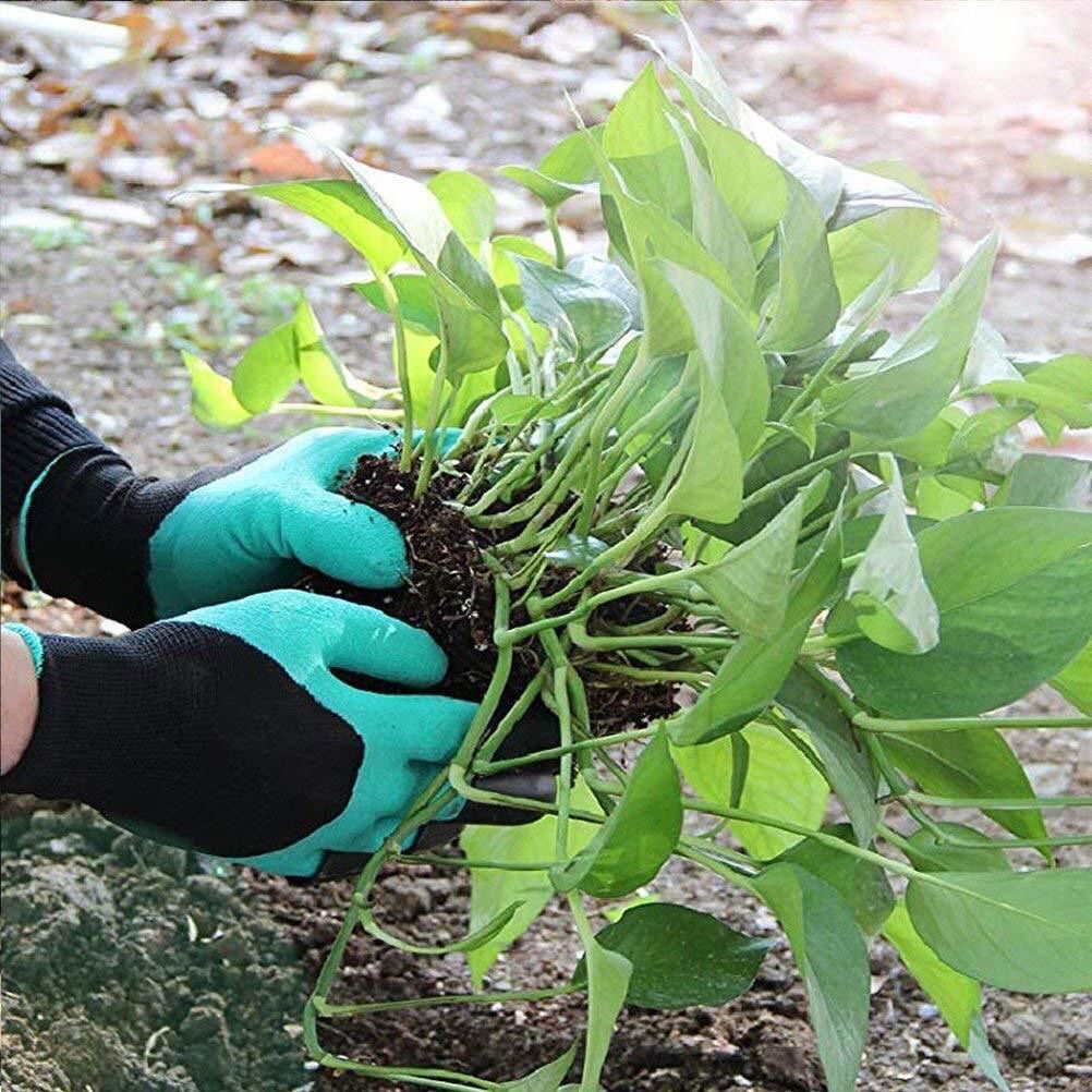 Protective eagle claw gloves, wear-resistant claws for digging soil, comfortable and breathable, anti-slip and waterproof palm, flower and vegetable planting gardening gloves detail image 5