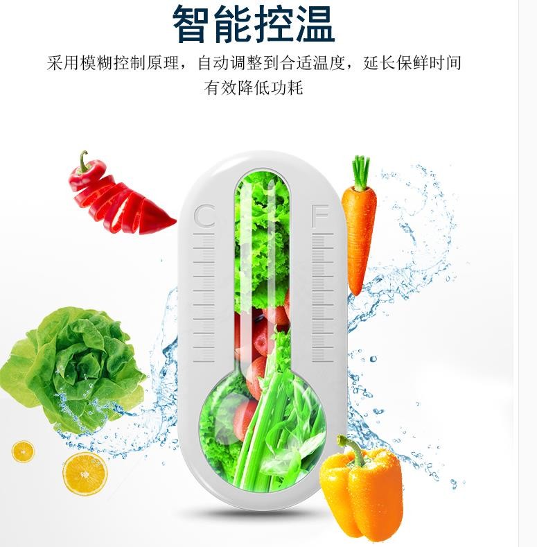 LG-218/GF-1300 supermarket refrigerator, refrigerated display cabinet, fresh-keeping beverage cabinet, double or single door freezer, commercial direct-cooling small standing cabinet, 540*560*1840mm detail image 3