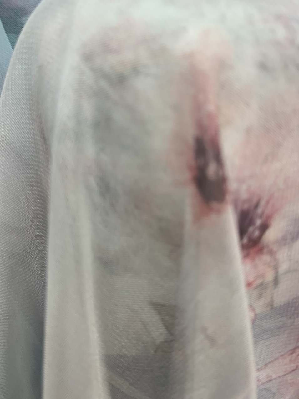 Chiffon 32