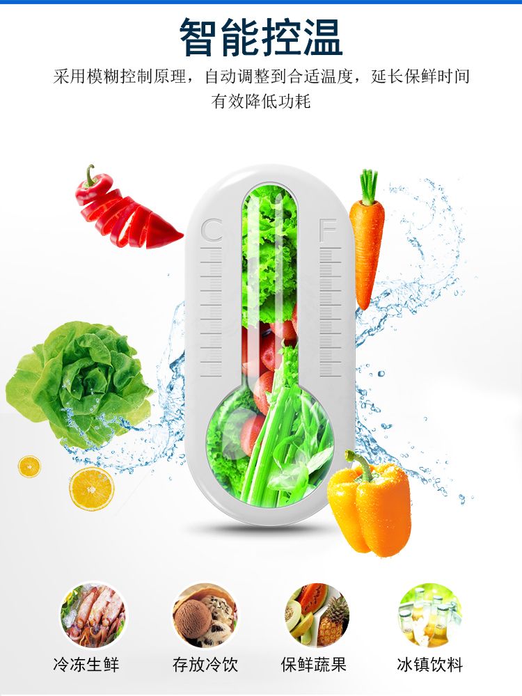 LG-518/GF-1900超市冰箱冷藏展示柜保鲜饮料柜双单门冰柜商用大容量超大立式详情图3
