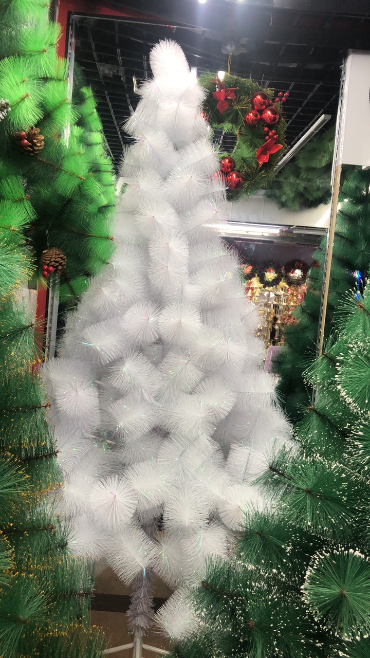 1.2 M 1.5 M 1.8 M 2.1 M 2.4 M Colorful White Pine Needles 11
