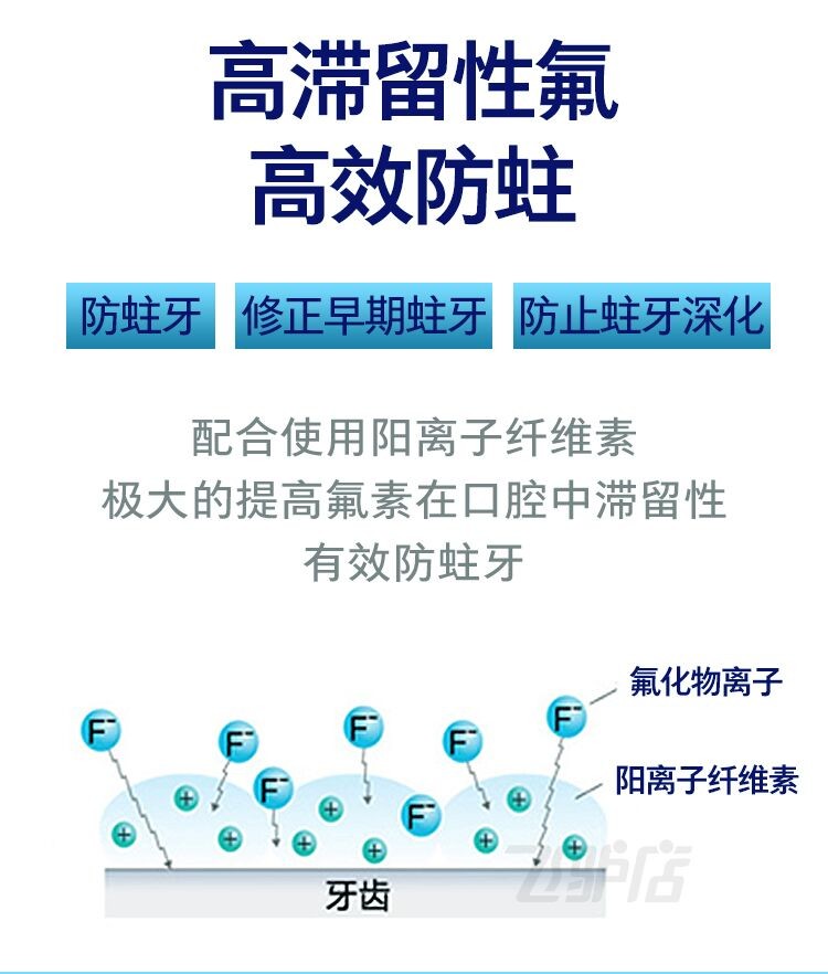 德国进口Colgate高露洁Dentagard牙膏草本薄荷直立按压式100ml详情图2