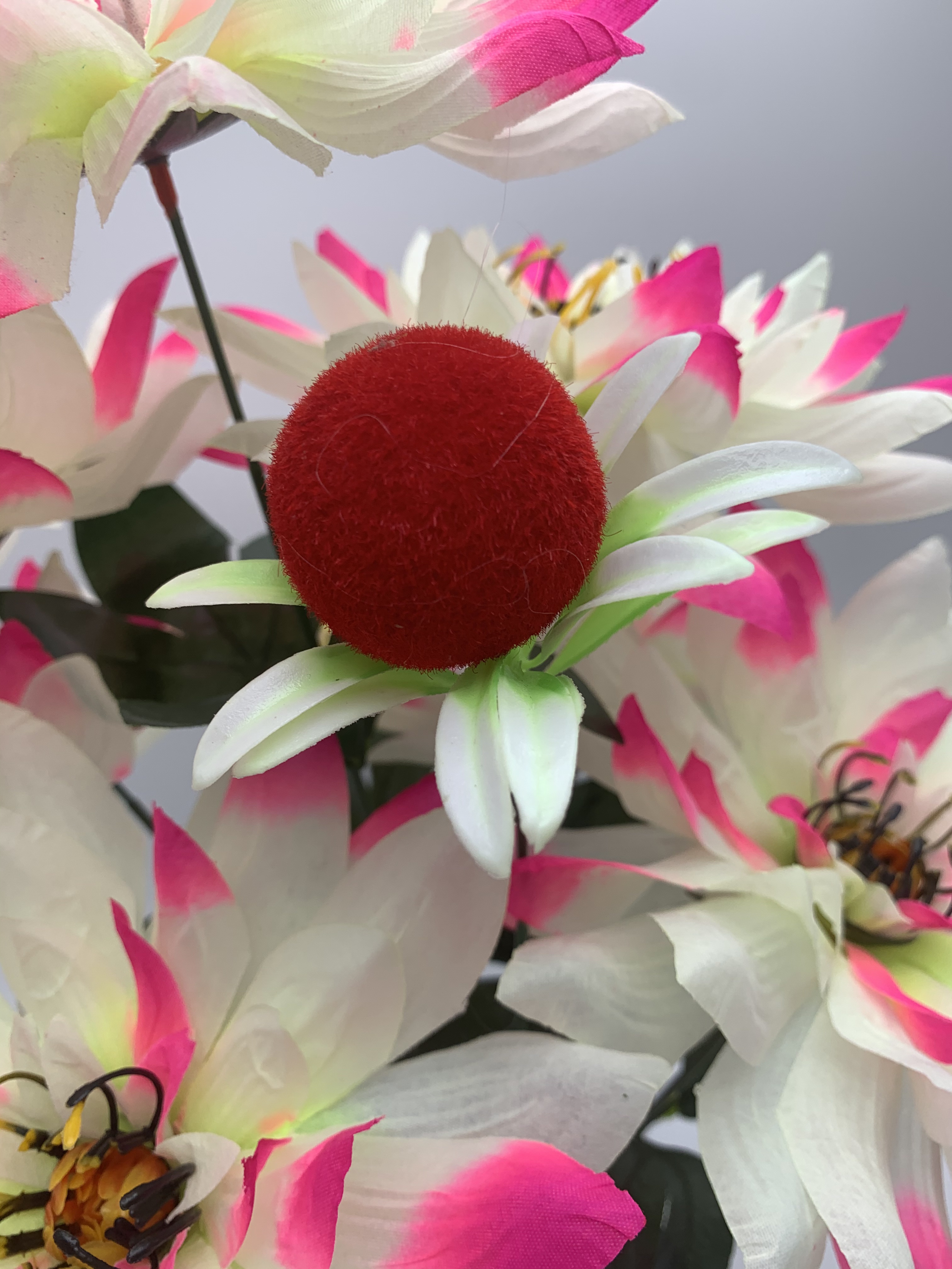 Nine large and beautiful chrysanthemums Application Scenario