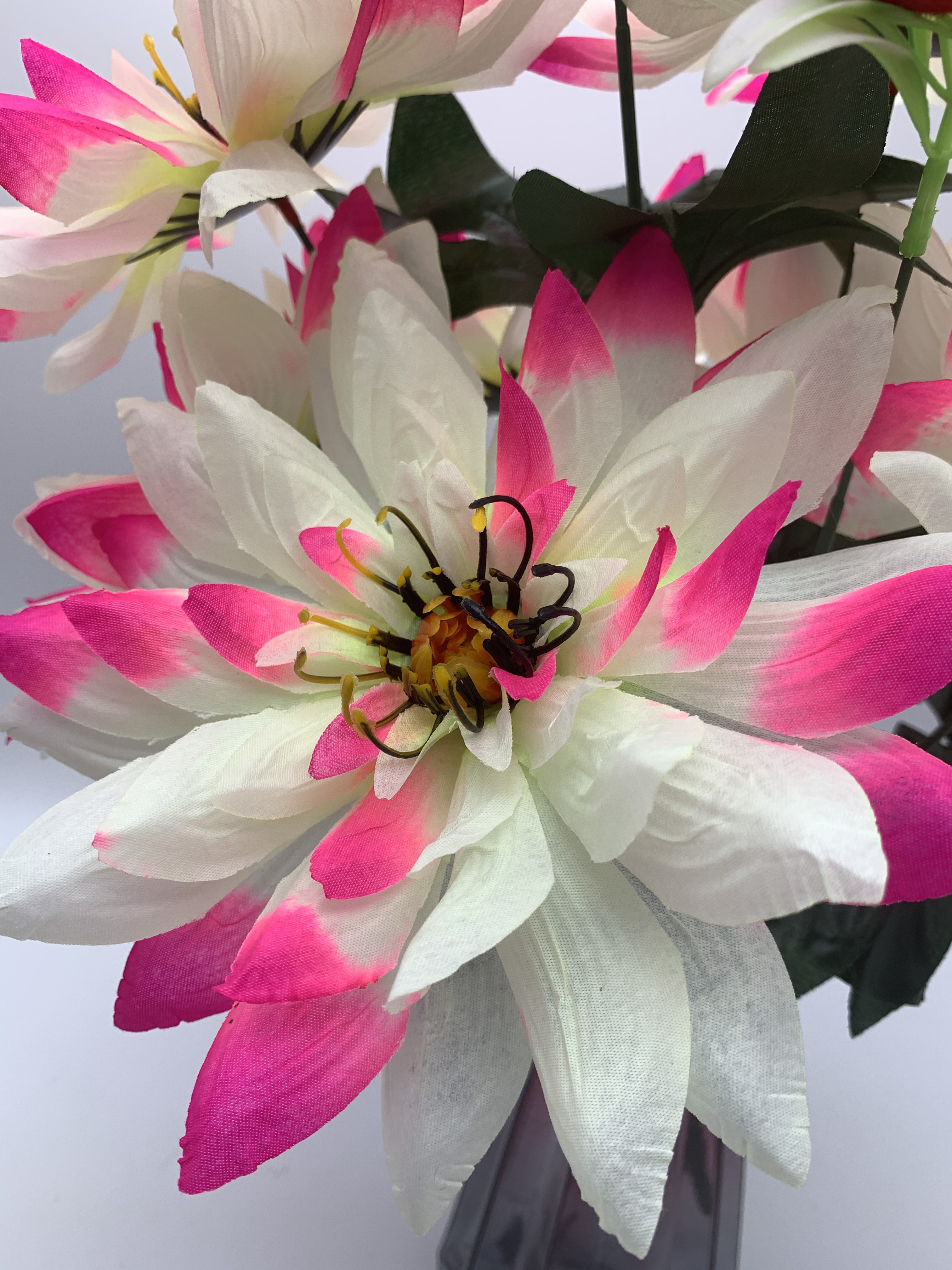 Nine large and beautiful chrysanthemums Specification image