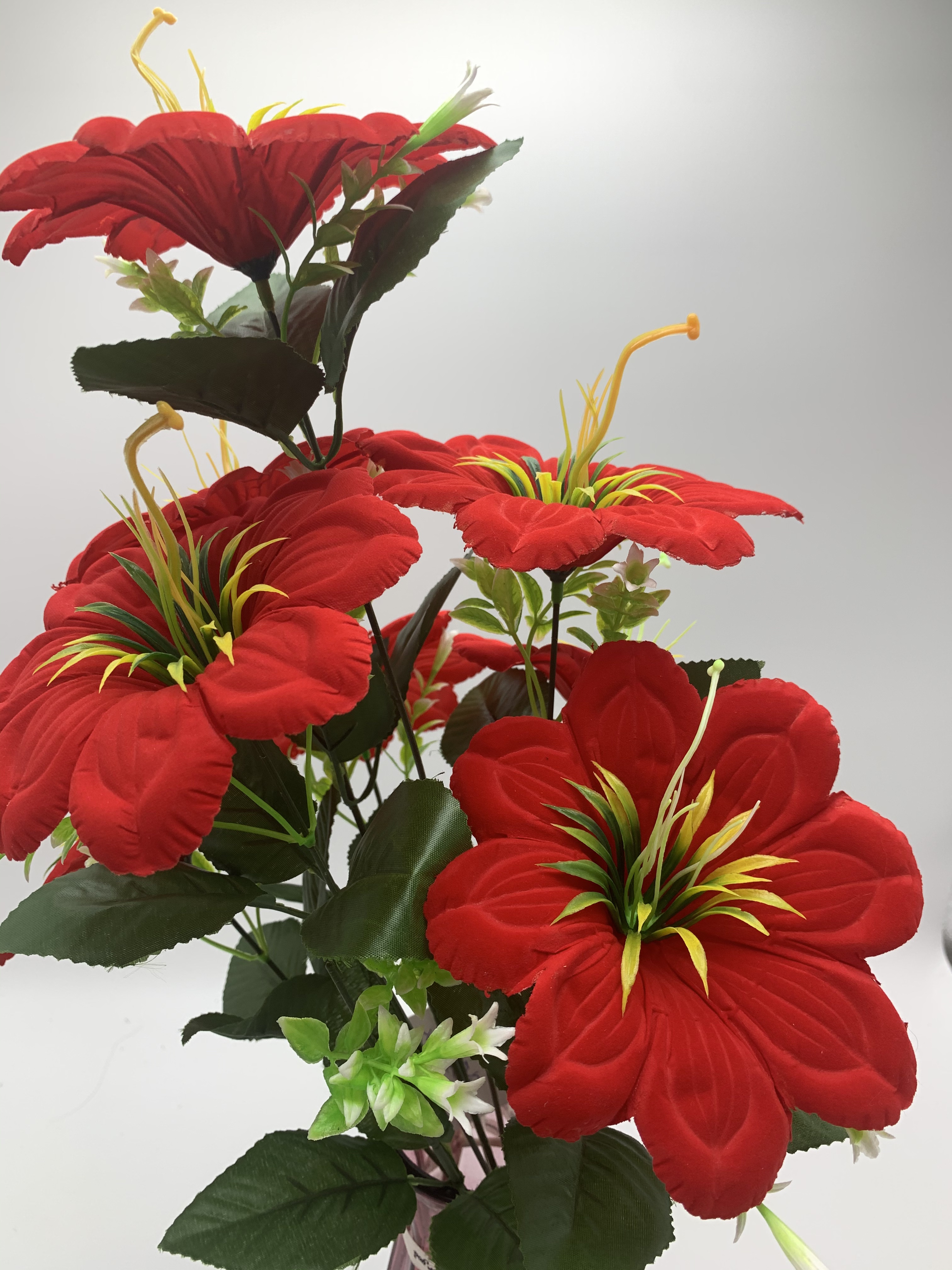 9-headed and 11-eared lily Specification image
