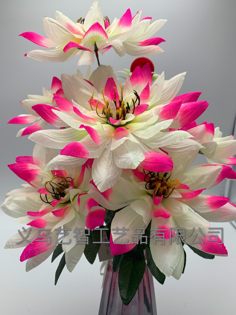 Nine large and beautiful chrysanthemums