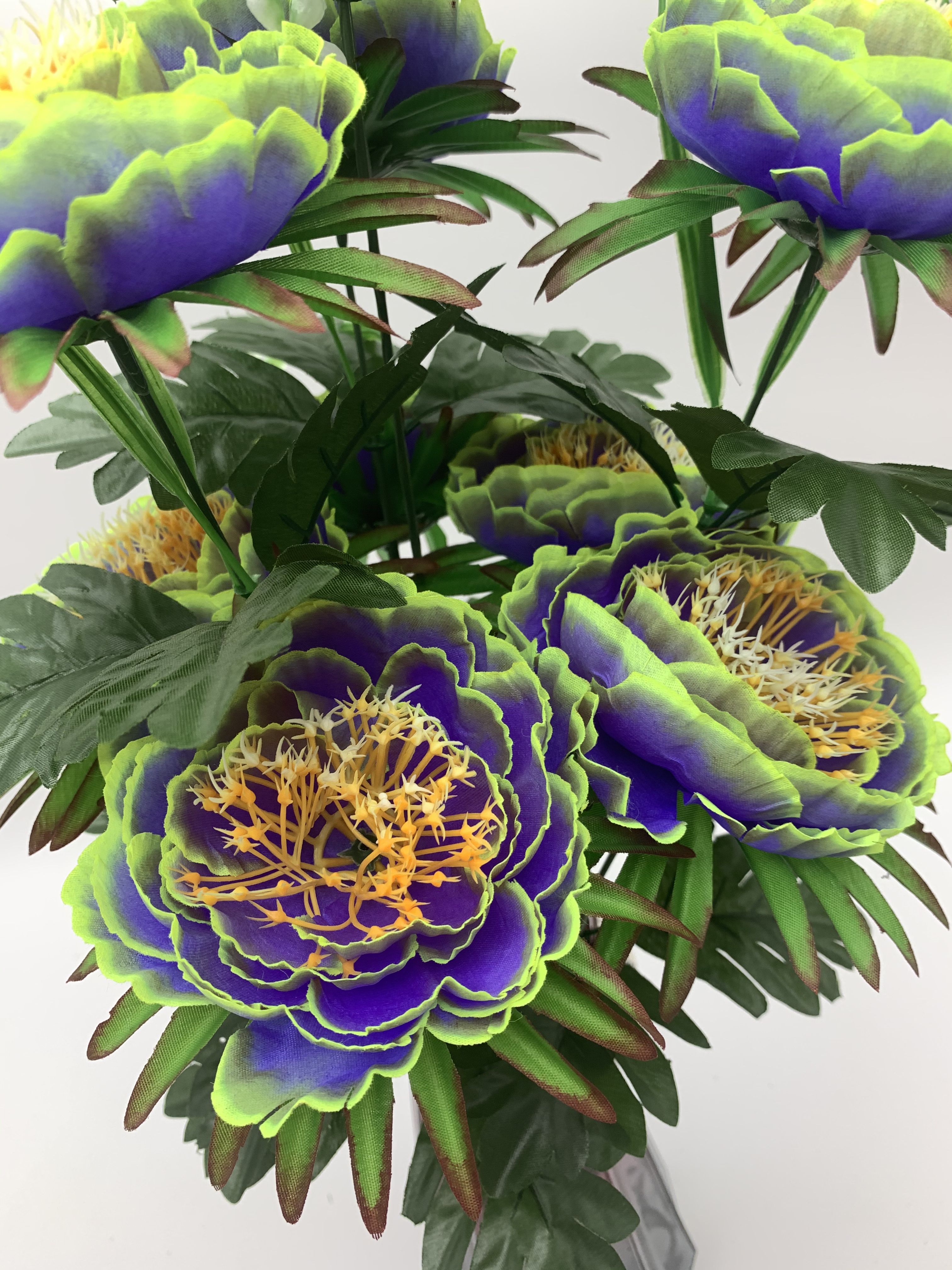 Nine happy camellias details Picture