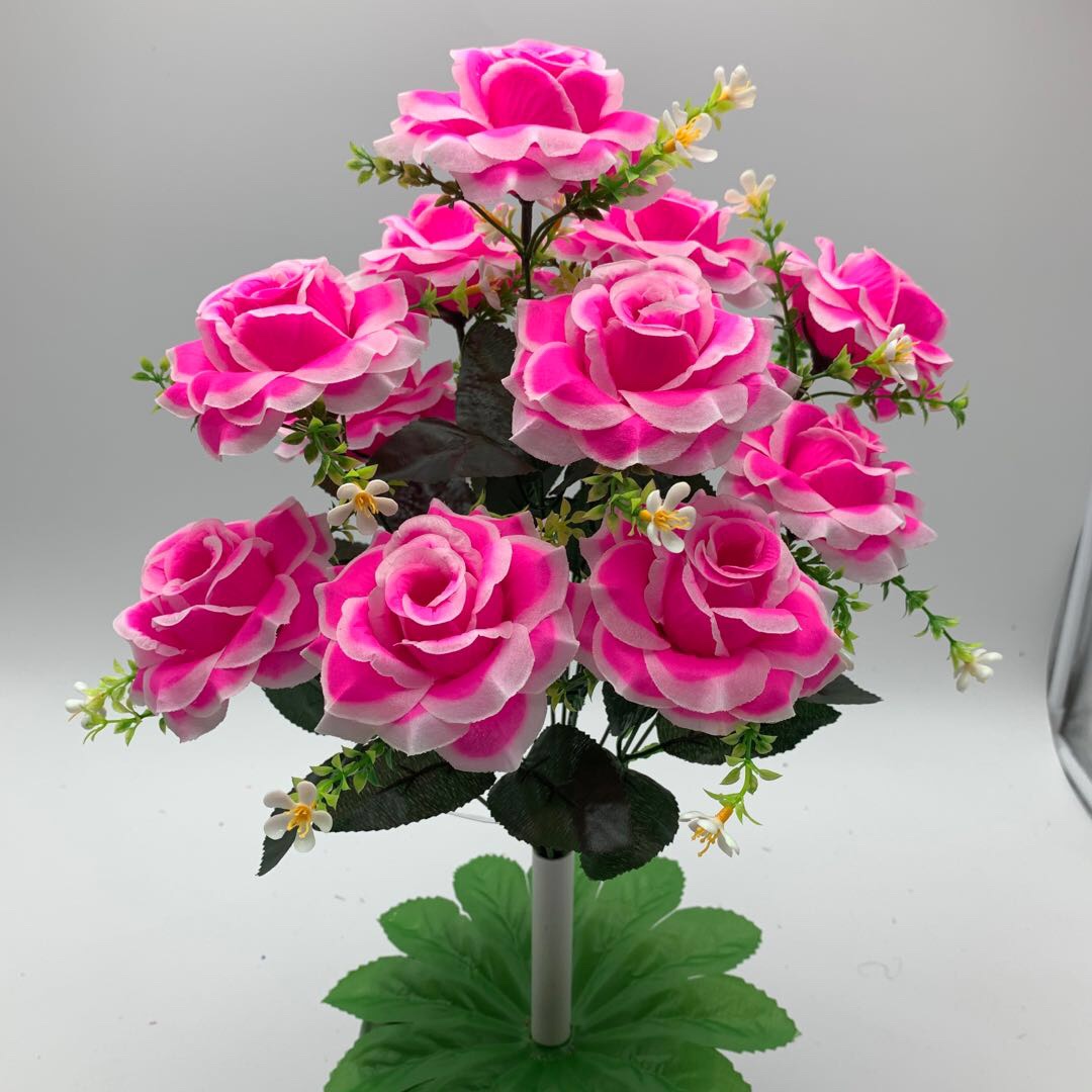 Dragon Ball Rose Application Scenario