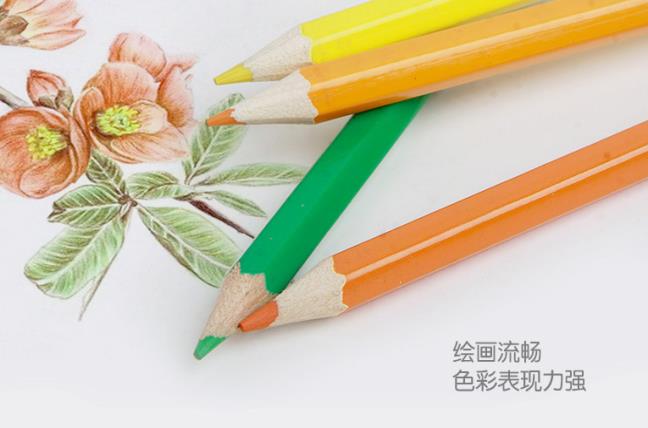 小学生儿童彩铅铅笔孔雀18色涂鸦画画填色铅笔不易断详情图1