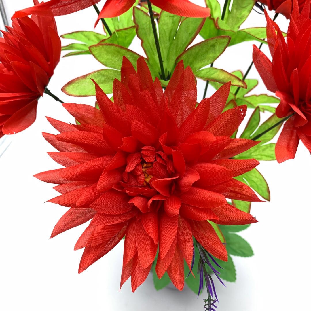 Large-needle chrysanthemum Specification image