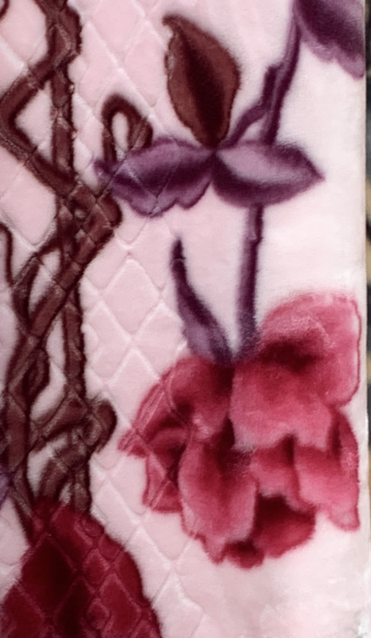 2020 New Blanket Pink Flowers