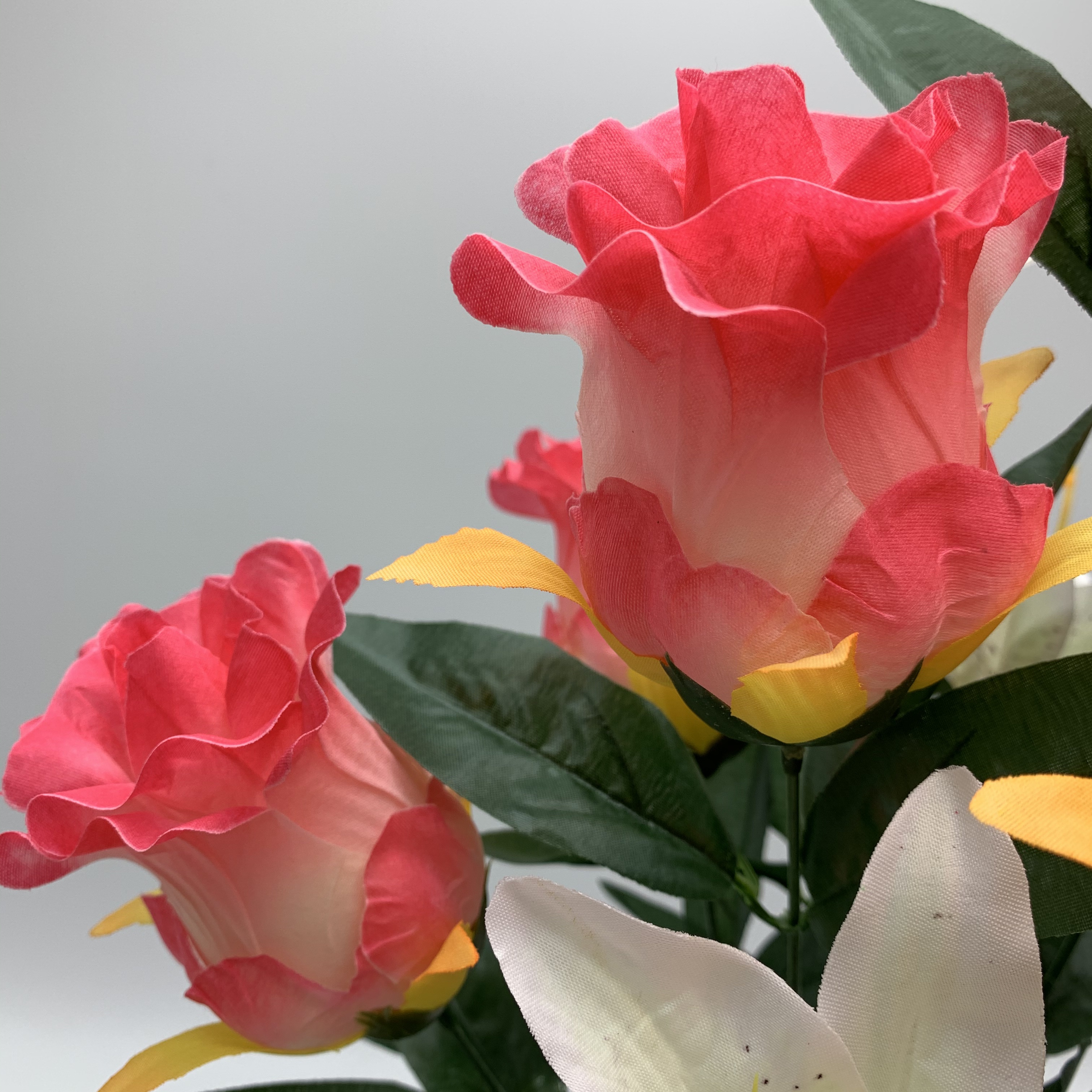 A new big trumpet bud has been opened Application Scenario