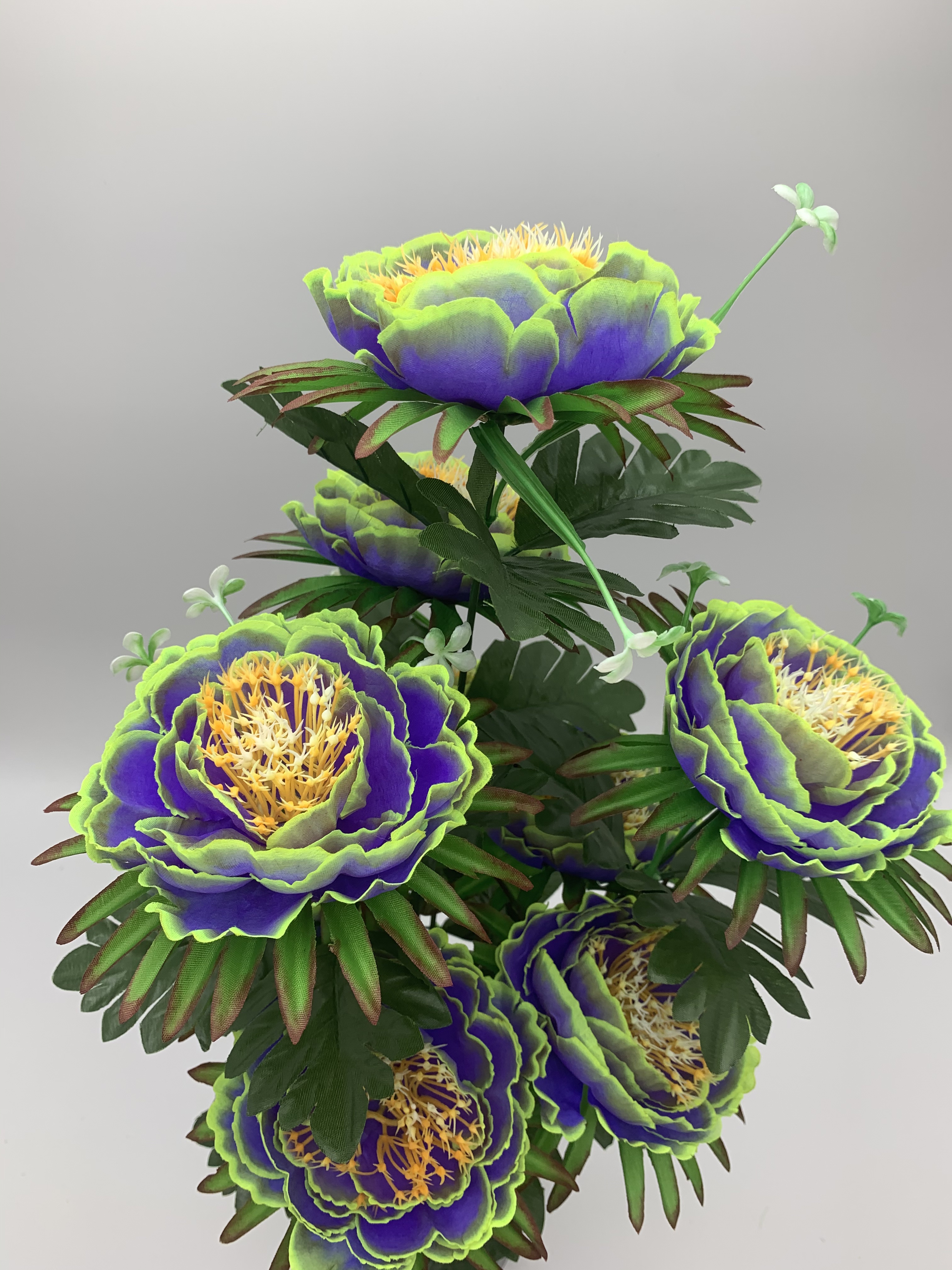 Nine happy camellias Specification image