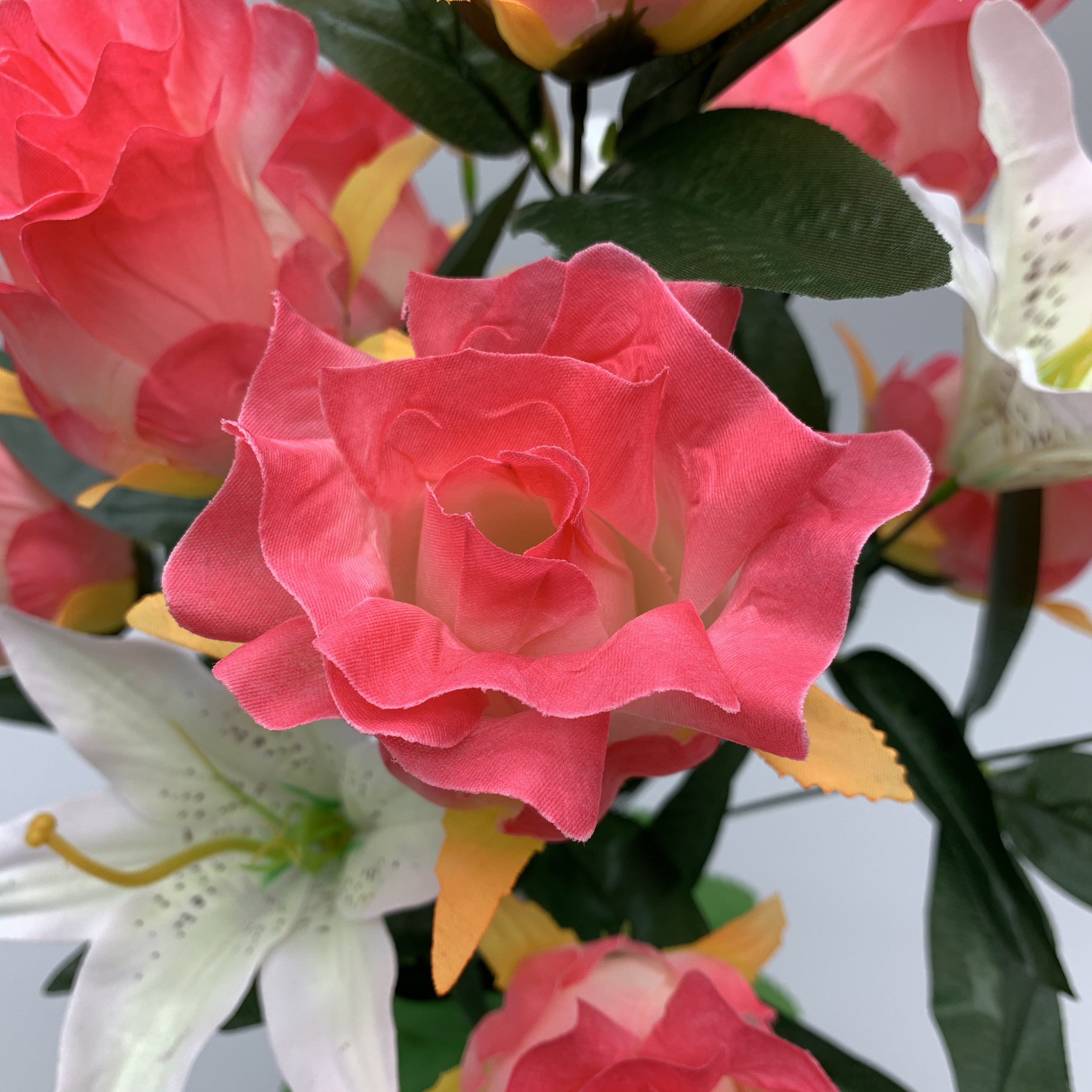A new big trumpet bud has been opened details Picture