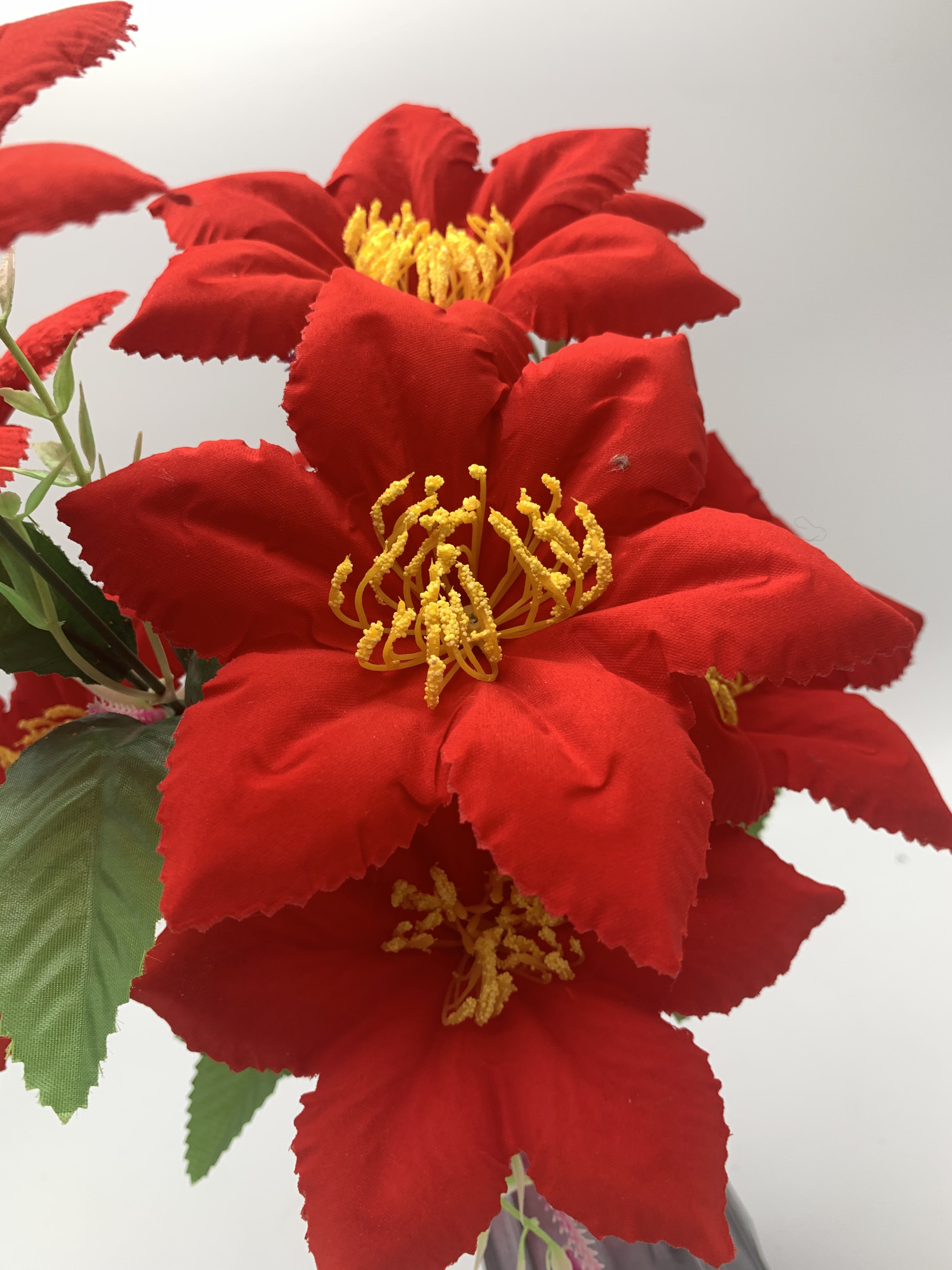 Ten lace six-eared lilies Specification image