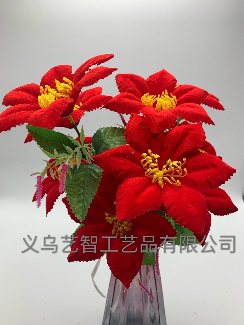 Ten lace six-eared lilies