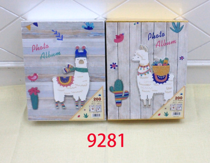 9281 photo album 6 inches 100 photos
