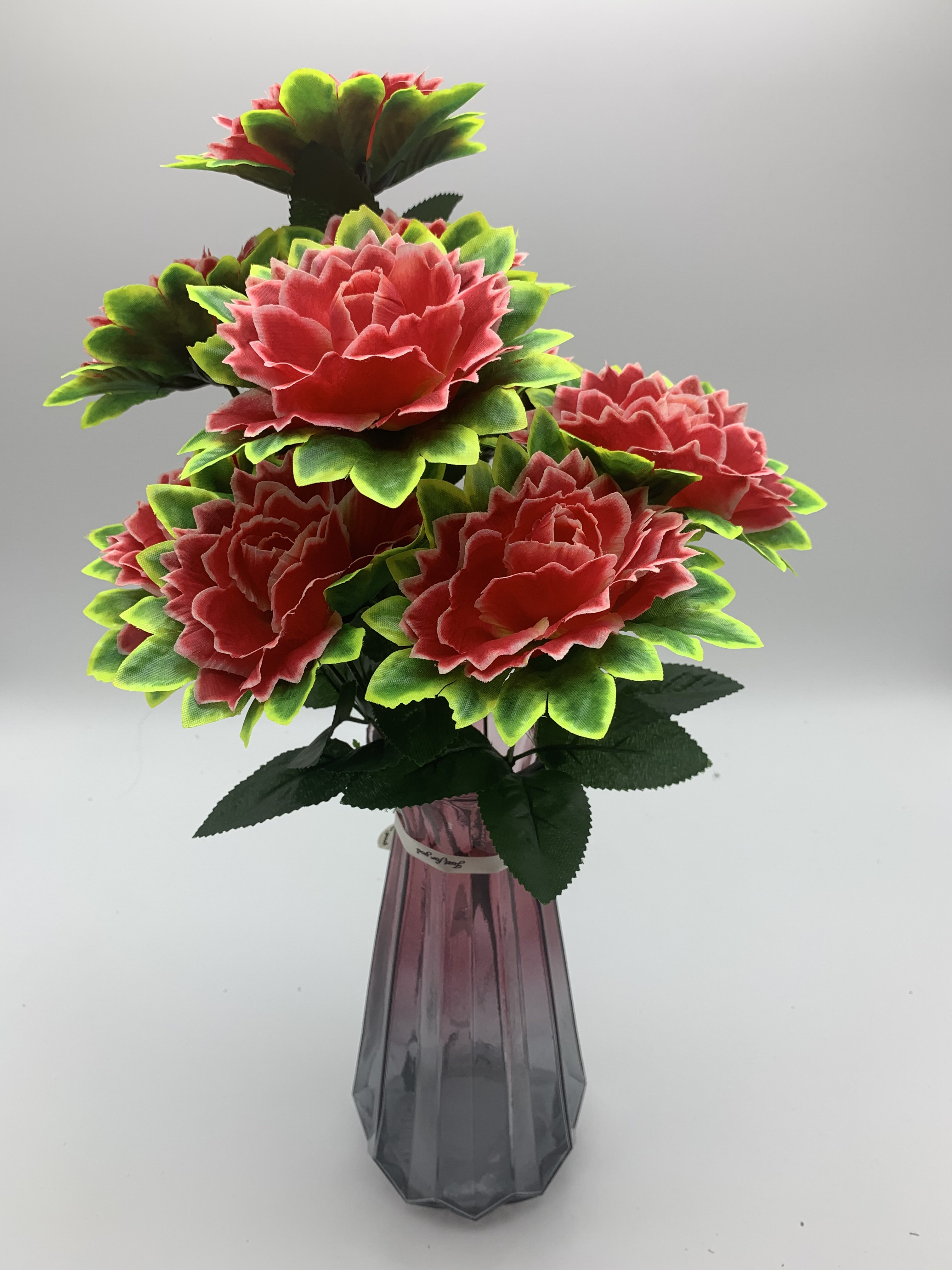 Nine Beautiful Roses (1 Application Scenario