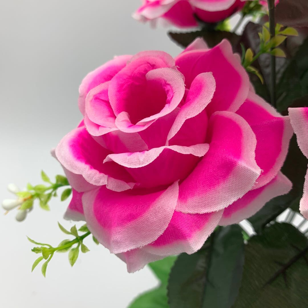 Dragon Ball Rose details Picture