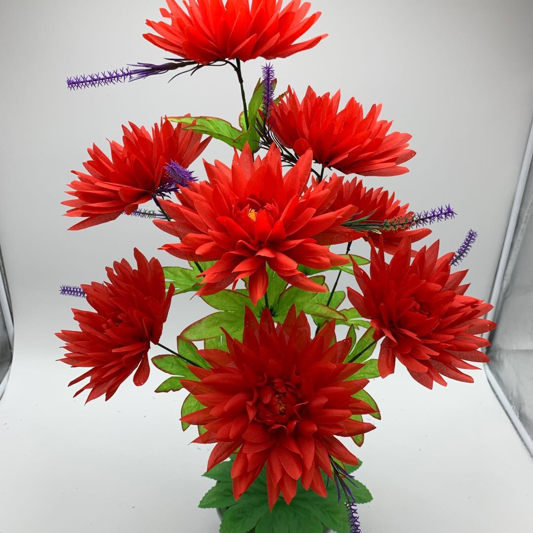 Large-needle chrysanthemum details Picture