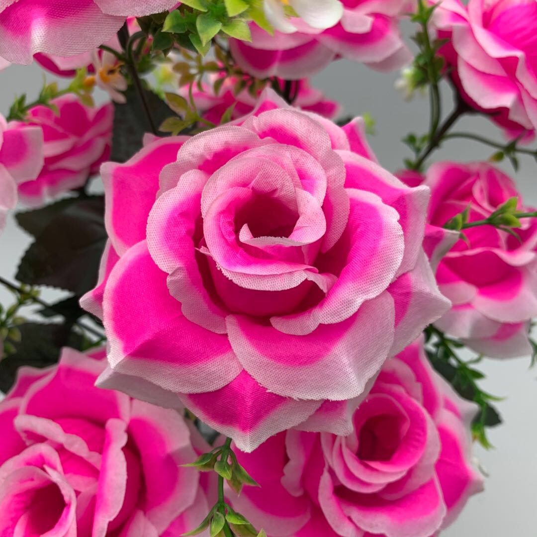 Dragon Ball Rose Specification image