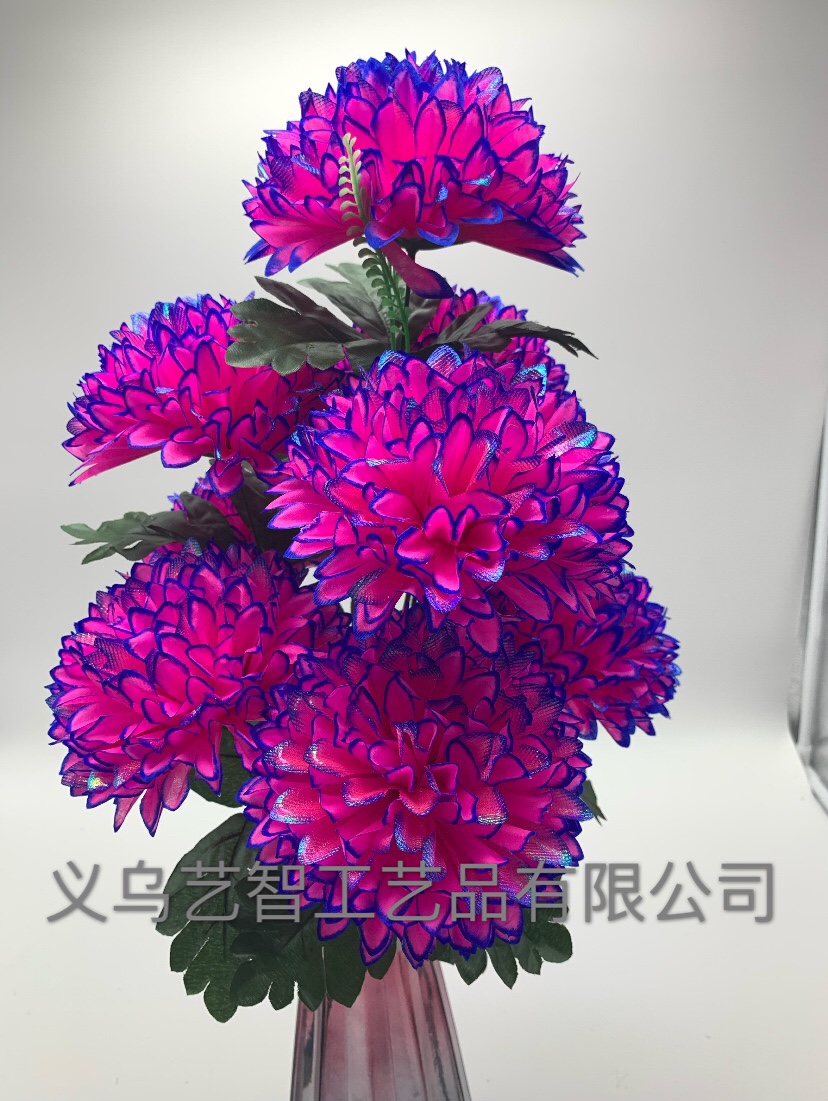 Nine wide Dutch chrysanthemums