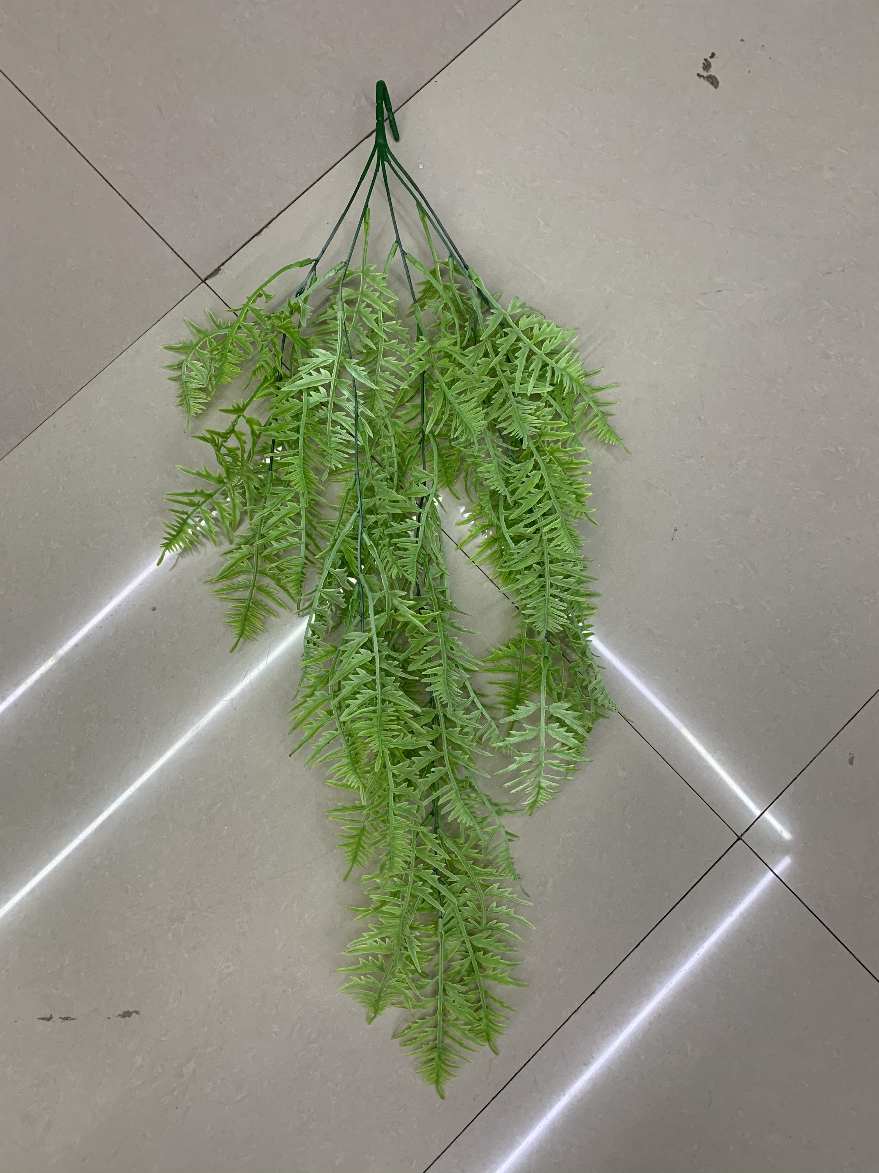 Green willow leaves Specification image