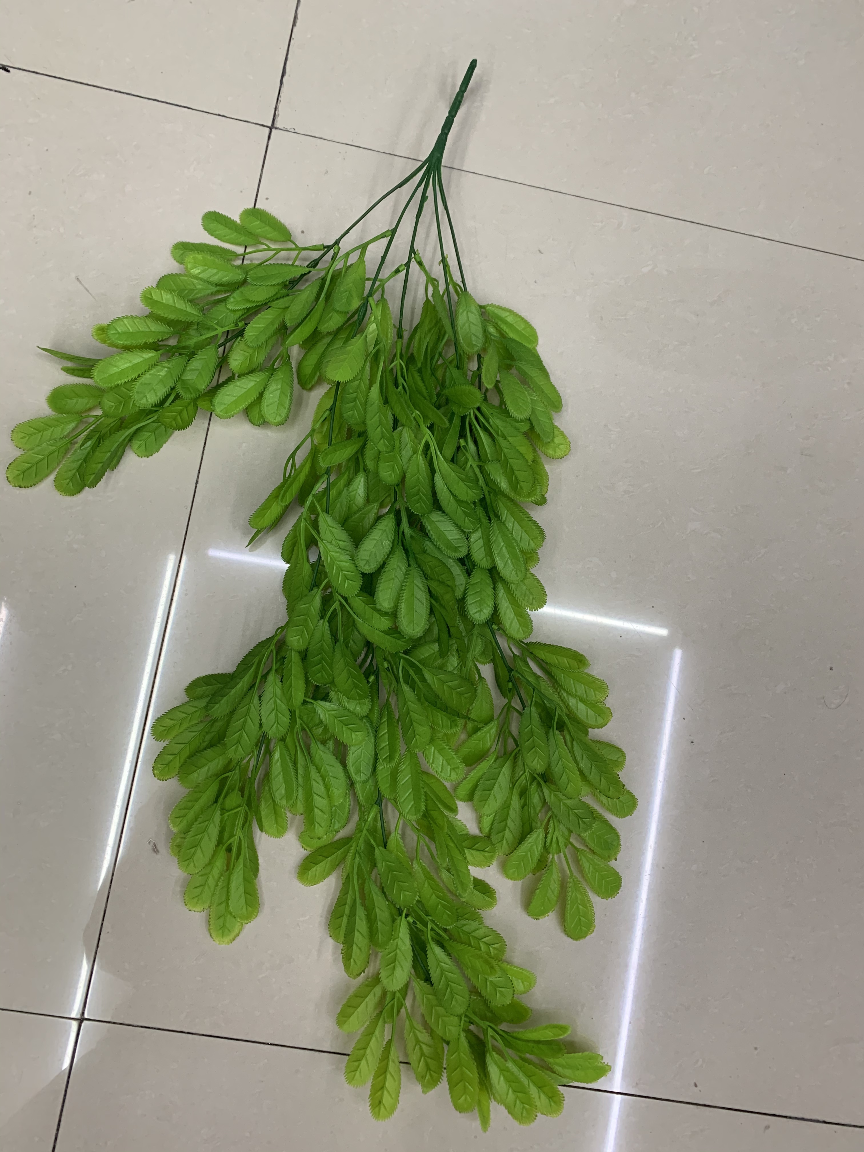 Small leaves on willow branches Specification image