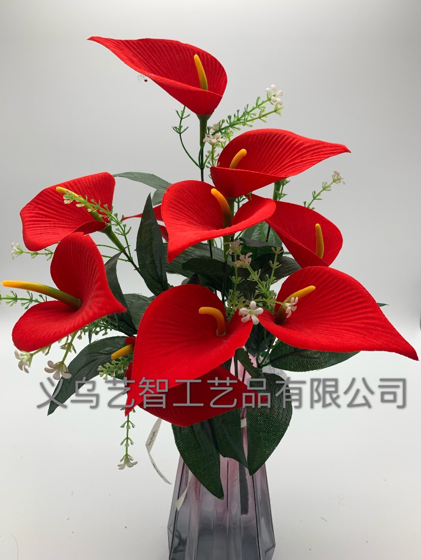 Twelve small calla lilies