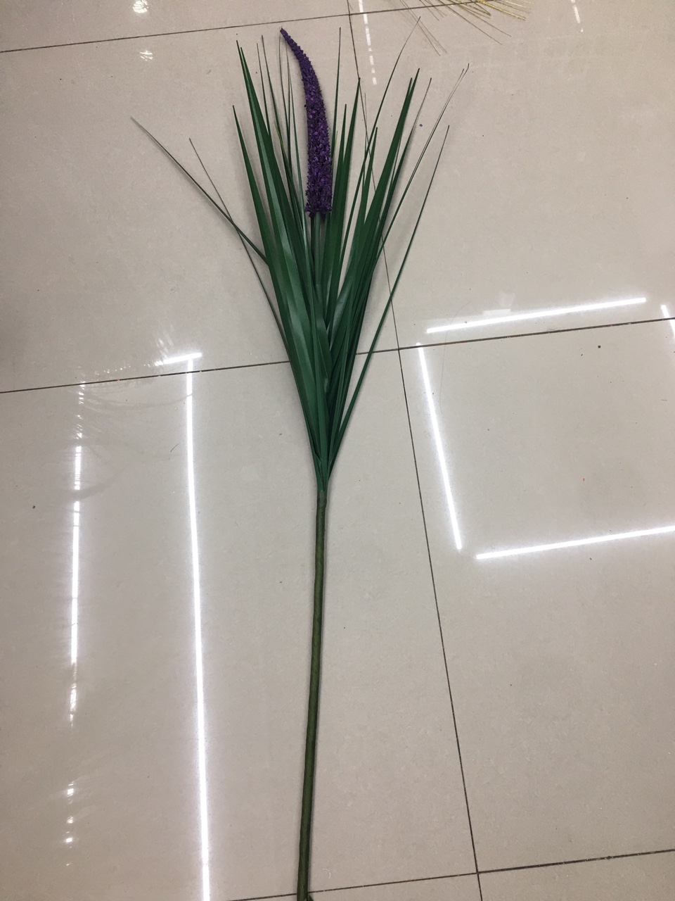 单只大狗尾巴撒碎步