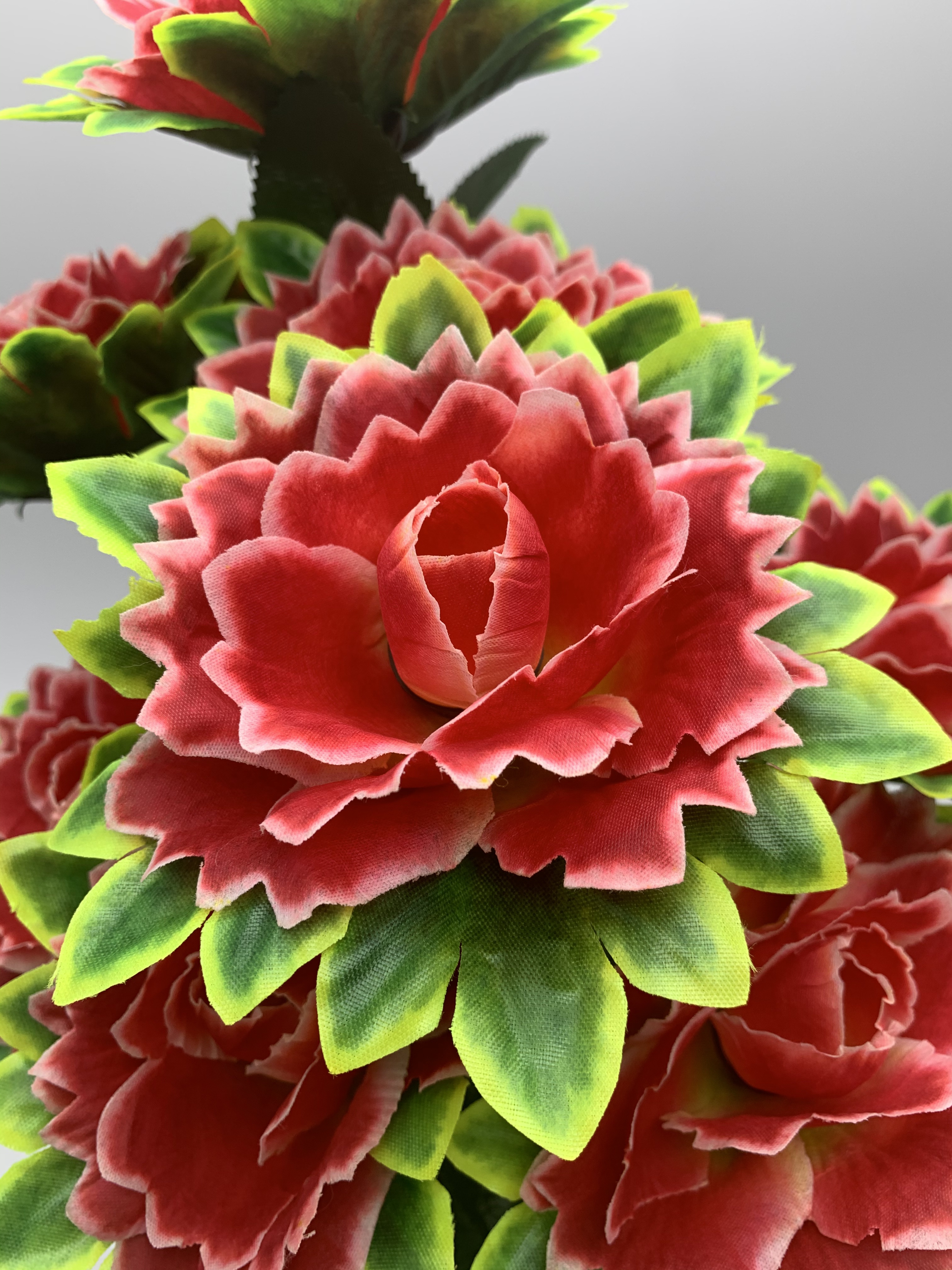 Nine Beautiful Roses (1 details Picture