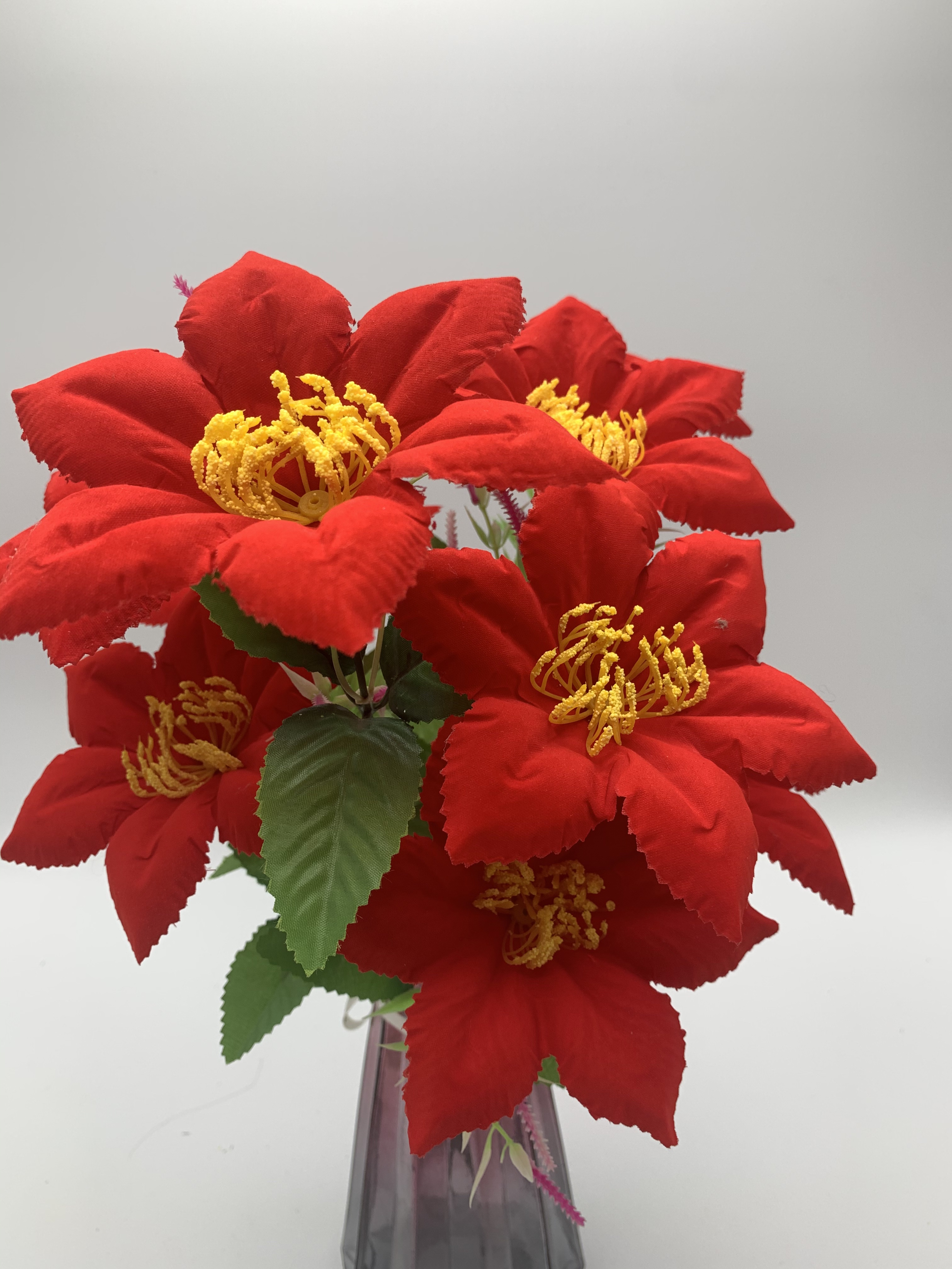 Ten lace six-eared lilies Application Scenario