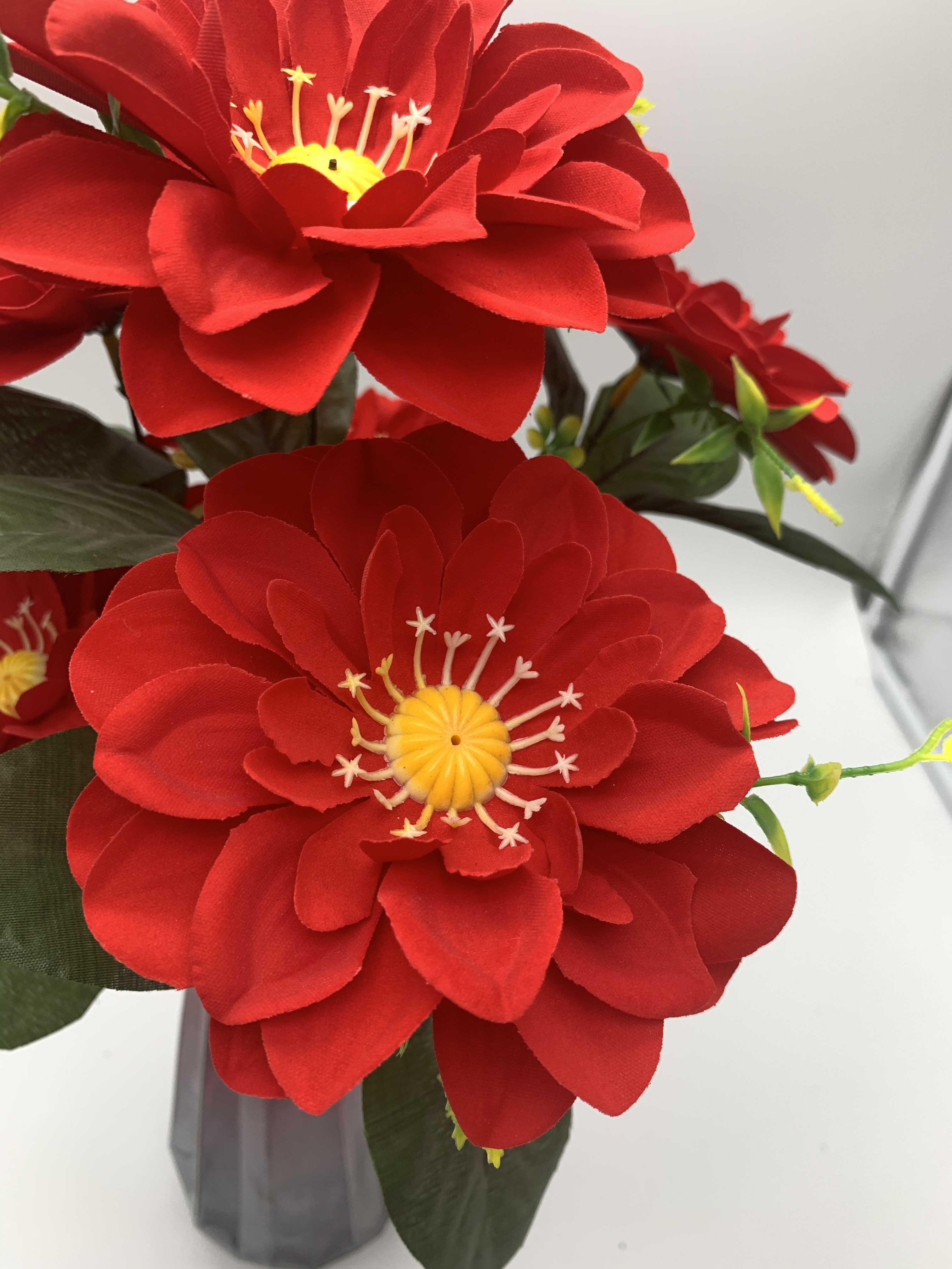 Seven peonies Application Scenario