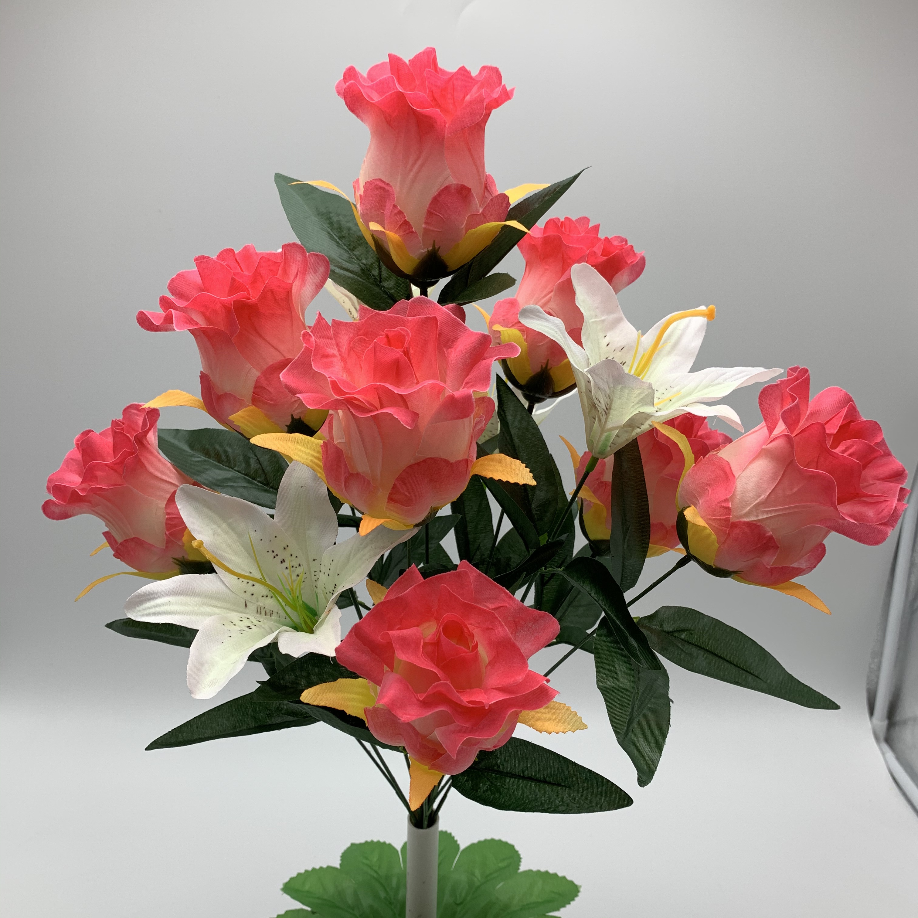 A new big trumpet bud has been opened Specification image