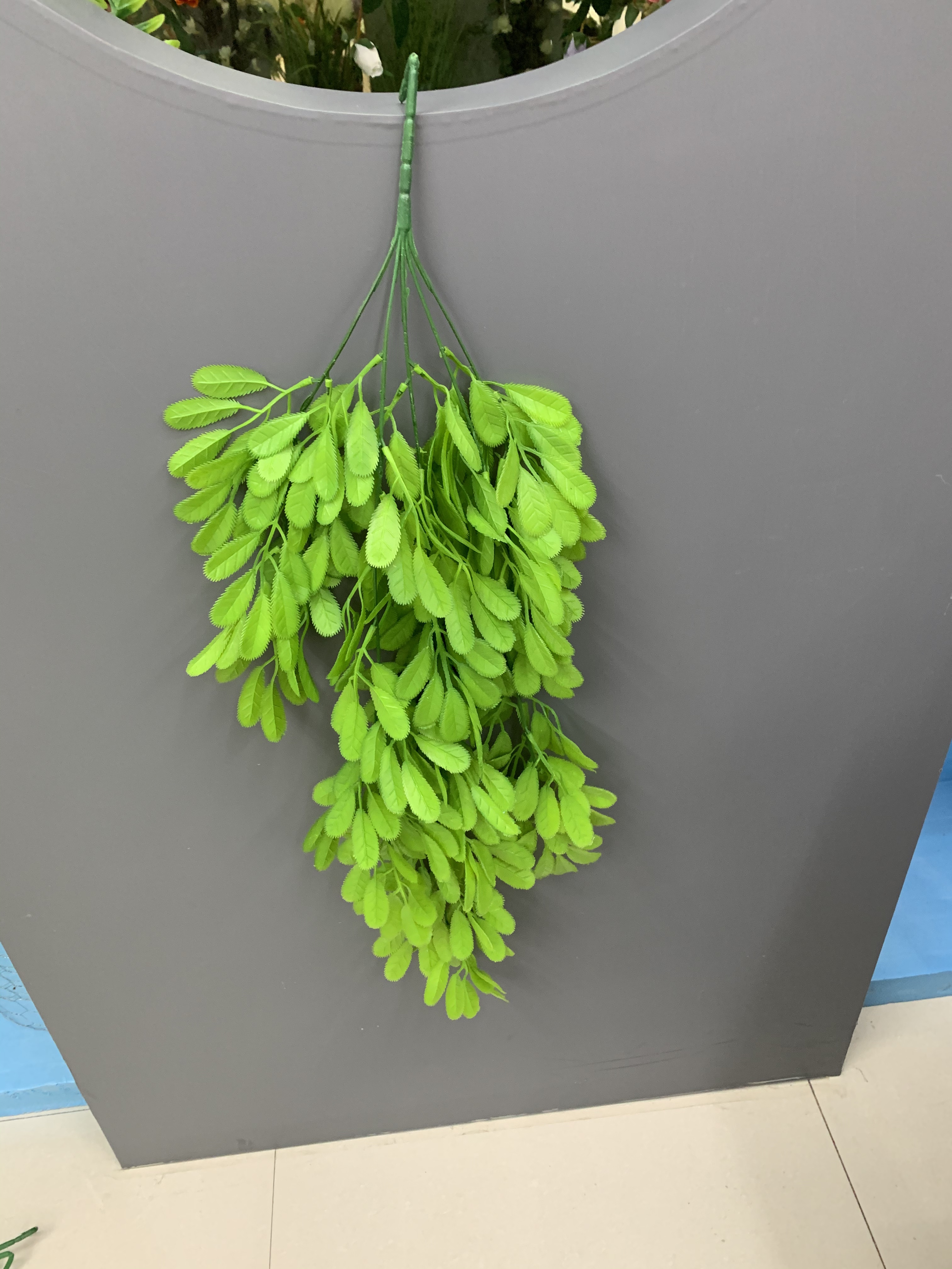 Small leaves on willow branches Application Scenario