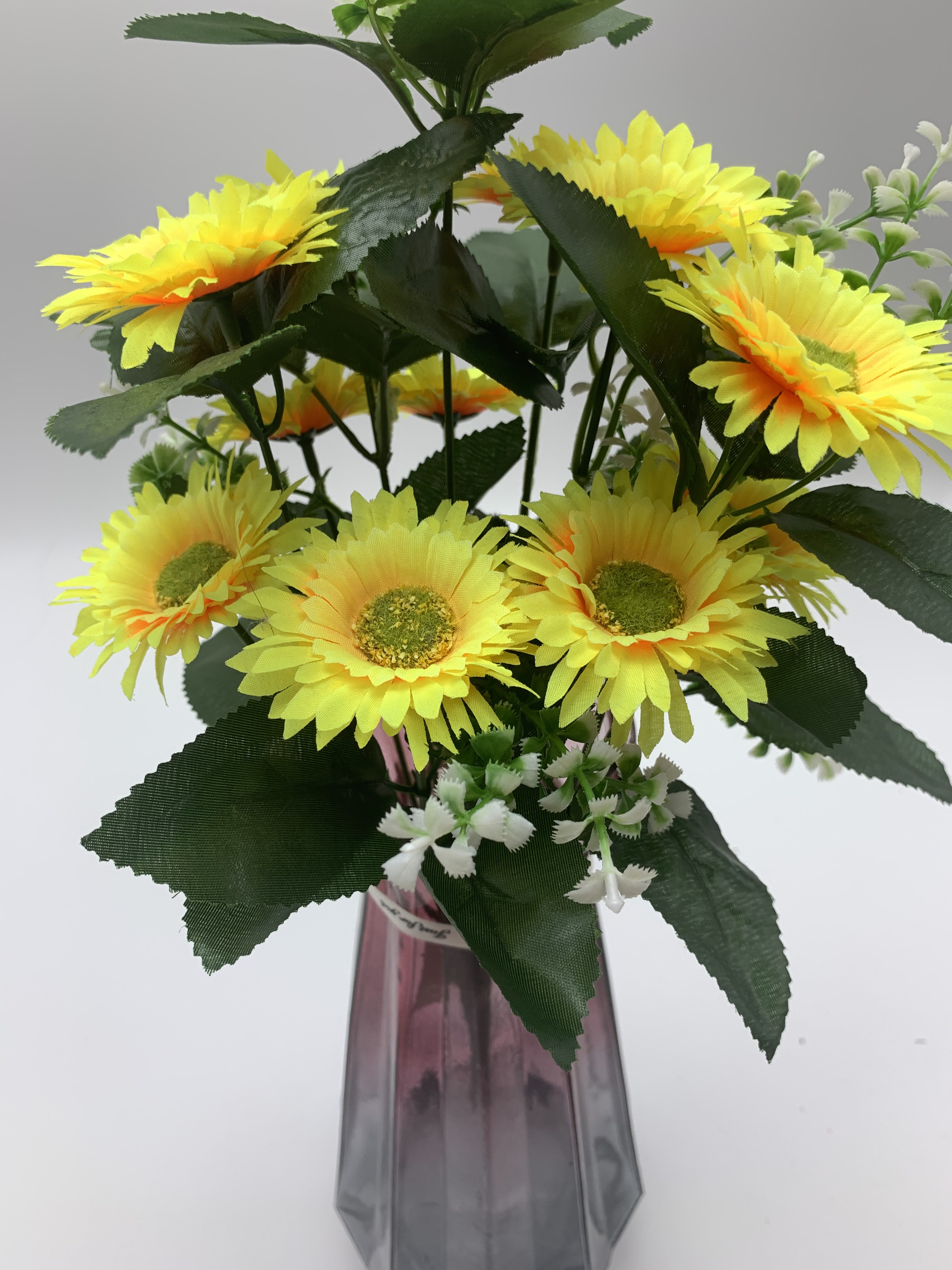 Twelve small chrysanthemums Application Scenario