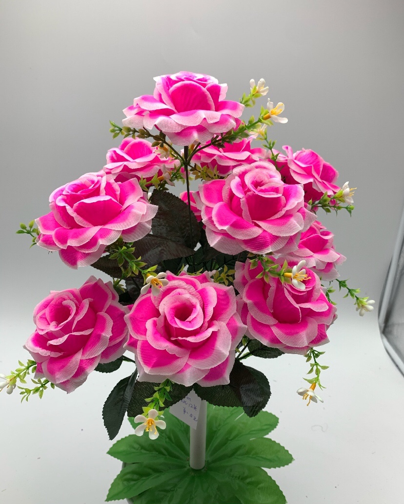 Dragon Ball Rose