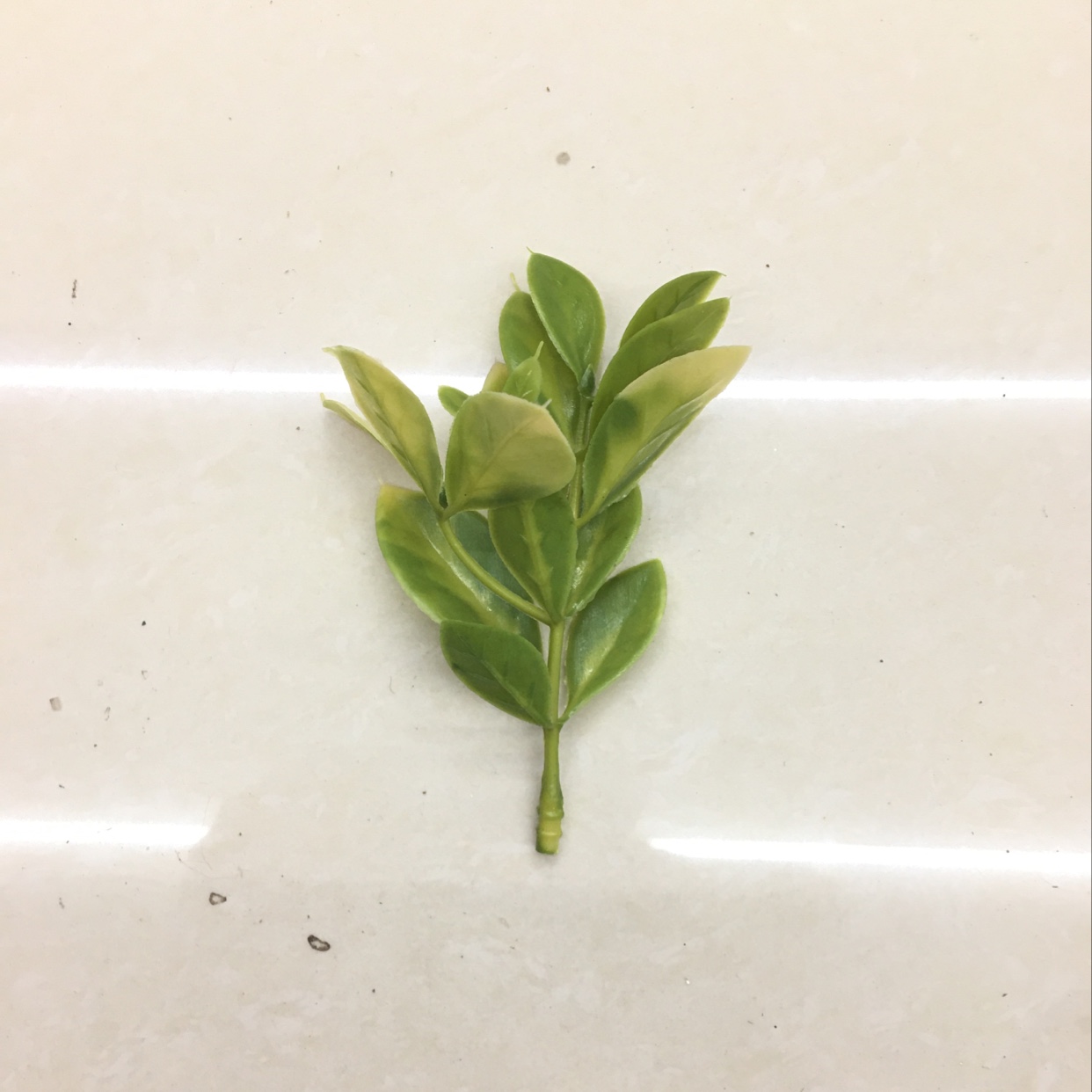 Artificial green plants, artificial plant ornaments, plastic aquatic plants, artificial garden decorations 116