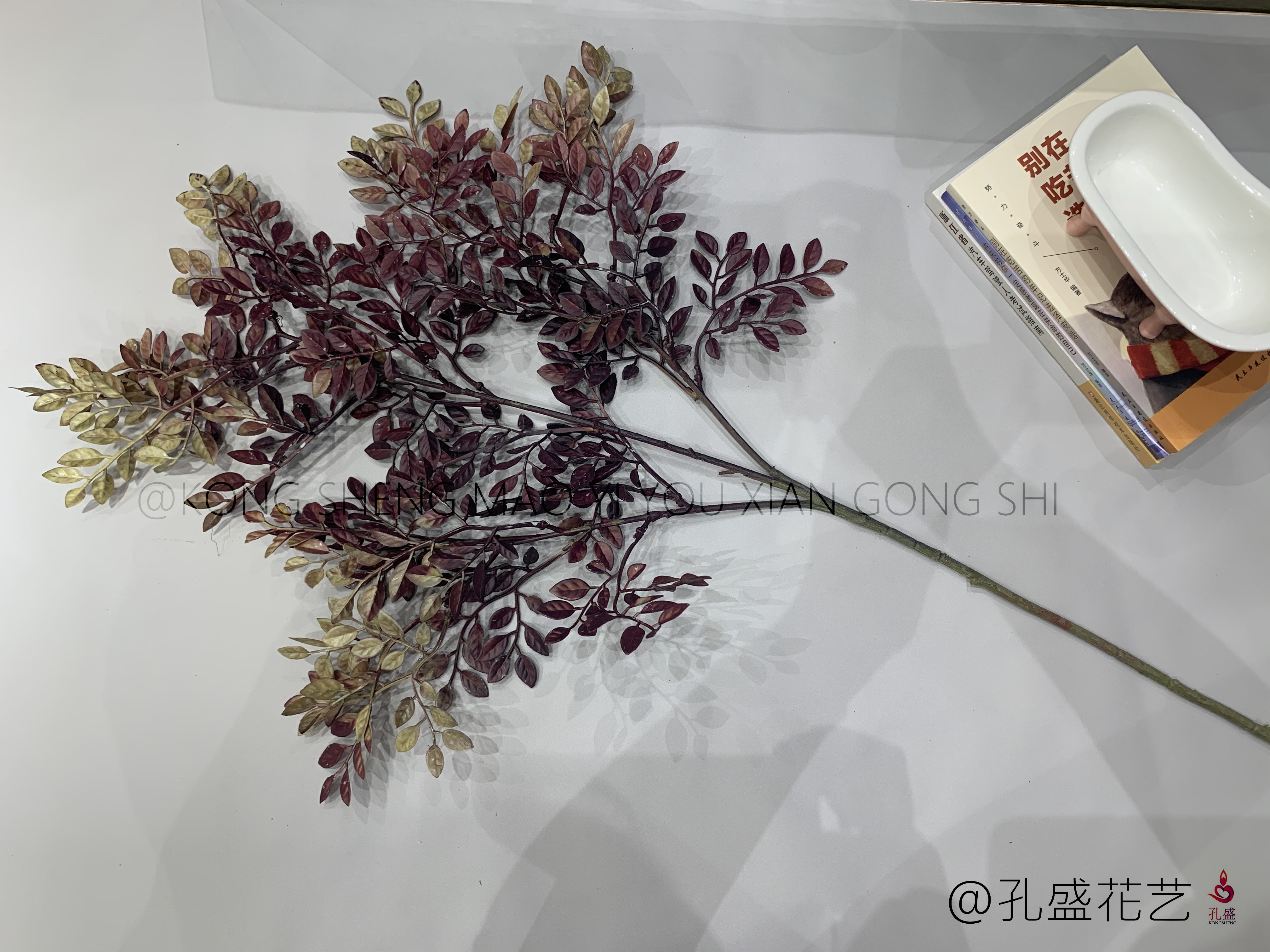 Zi Qi detail image 9