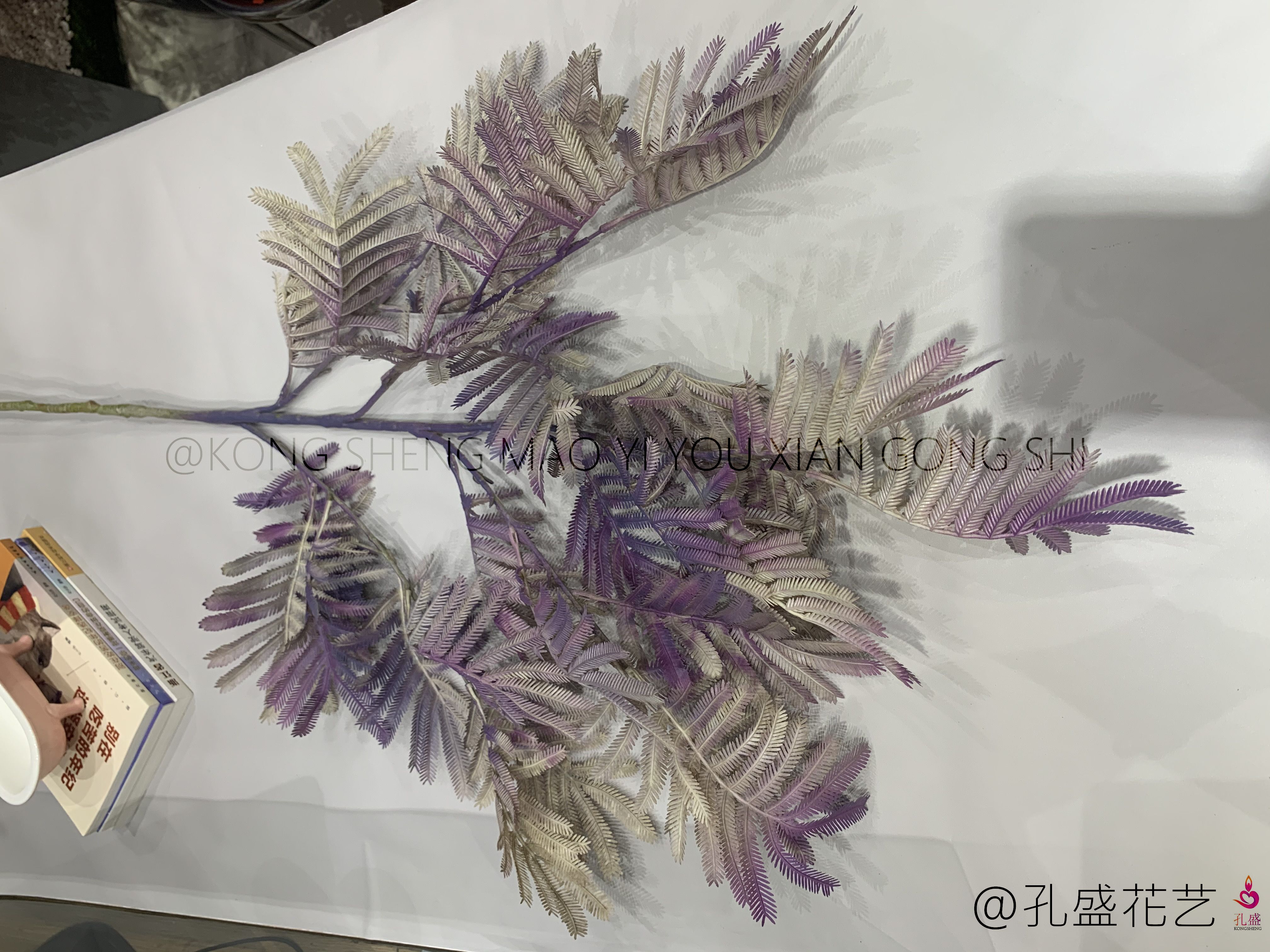 Big Bauhinia leaf Specification image