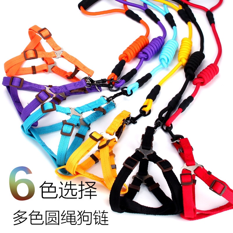 Wholesale of dog leashes, dog chains, Teddy golden retrievers, small, medium and large puppy leashes, pet supplies